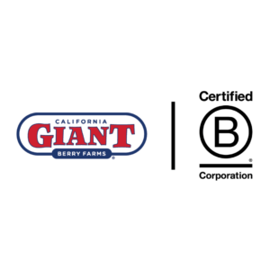 California Giant